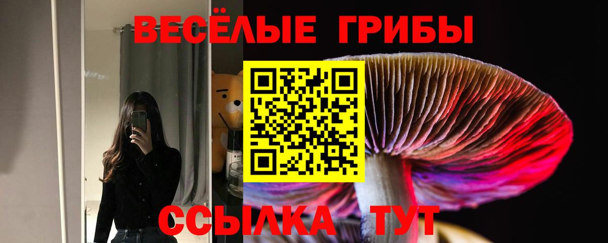Галлюциногенные грибы MAGIC MUSHROOMS  Псилоцибиновые грибы ЛСД  где купить   Вход с VPN  Гусь-Хрустальный 